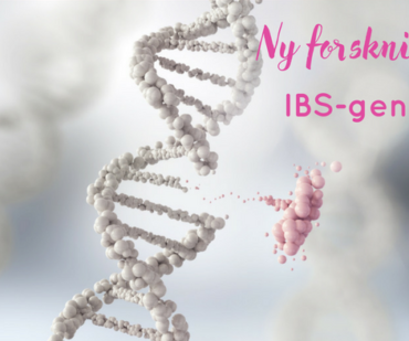 IBS gener