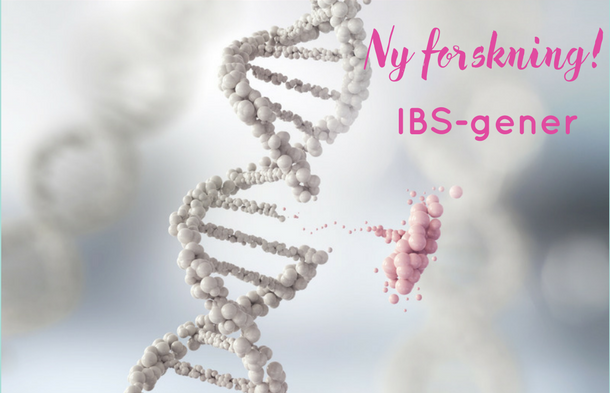 IBS gener