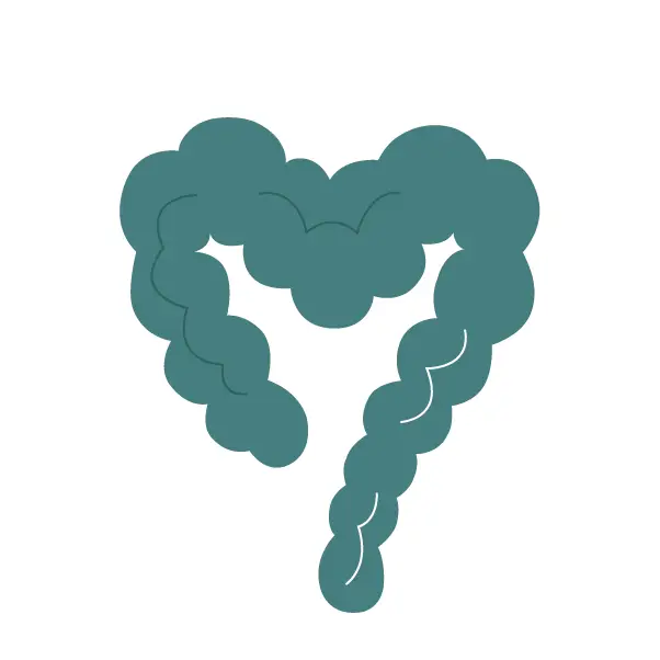 Belly Balance favicon
