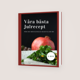 Våra bästa julrecept E-bok