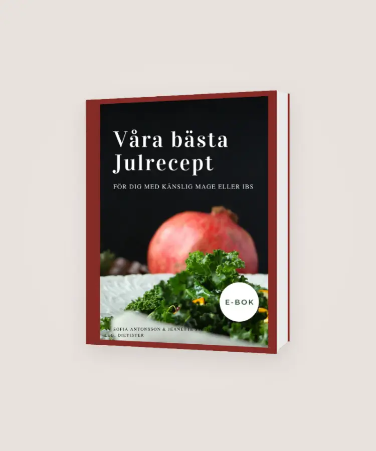 Våra bästa julrecept E-bok