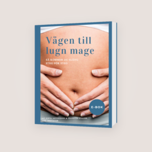 Vägen till lugn mage,steg för steg E-bok