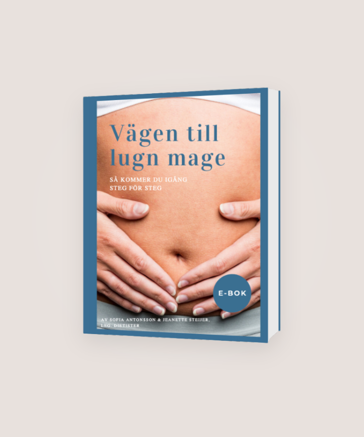 Vägen till lugn mage,steg för steg E-bok