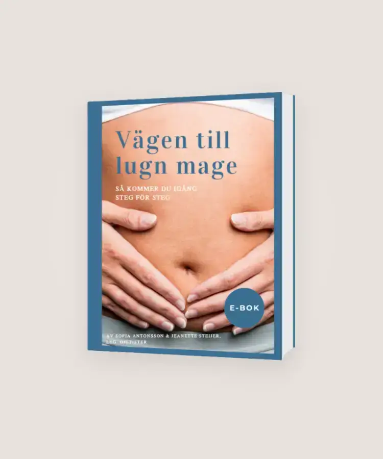 Vägen till lugn mage,steg för steg E-bok