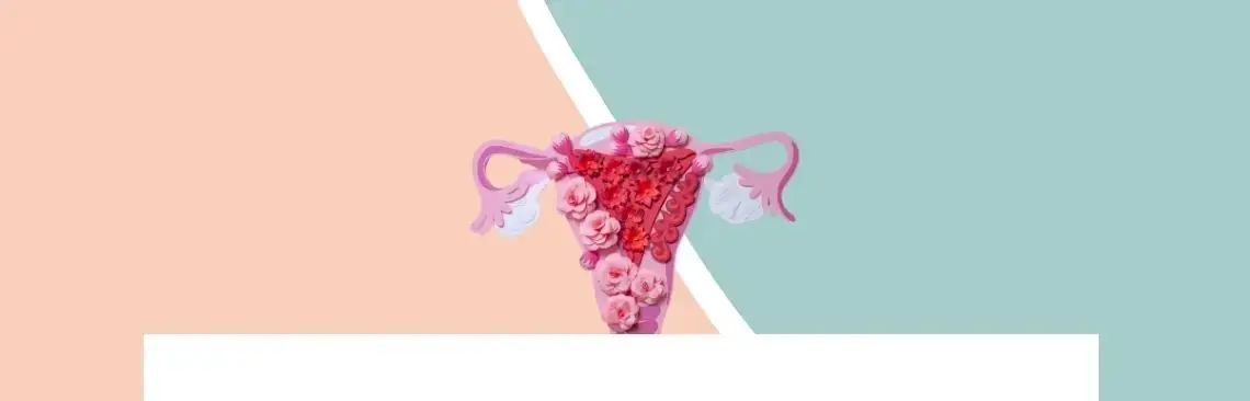 Artikel/endometrios Image of Endometrios, endometriosis