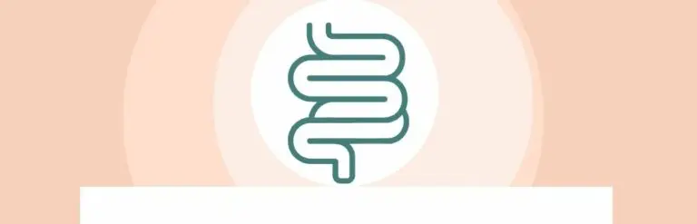 gut flora, tarmflora