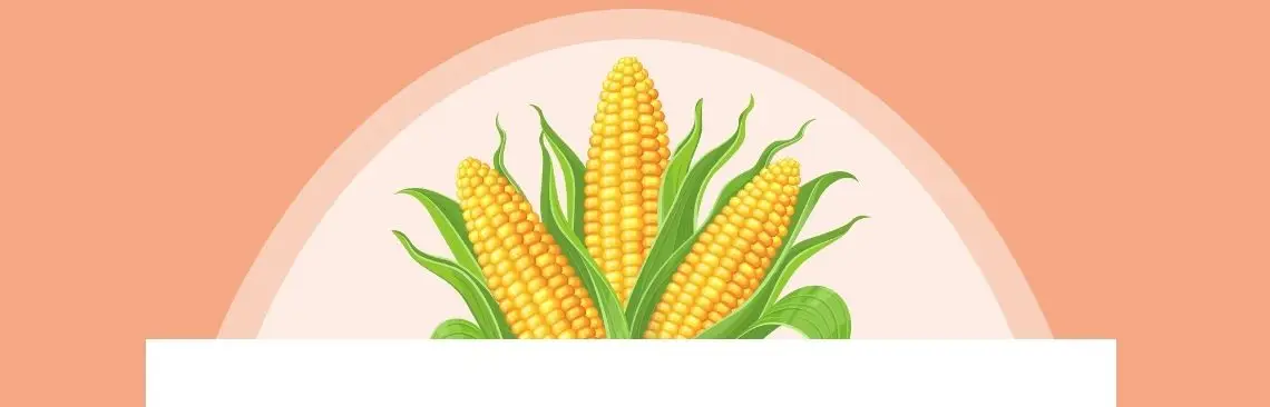 Image of Corn