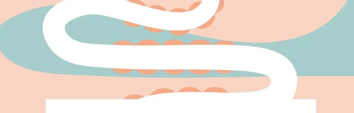 Image of Tarmfickor, Intestinal pouches