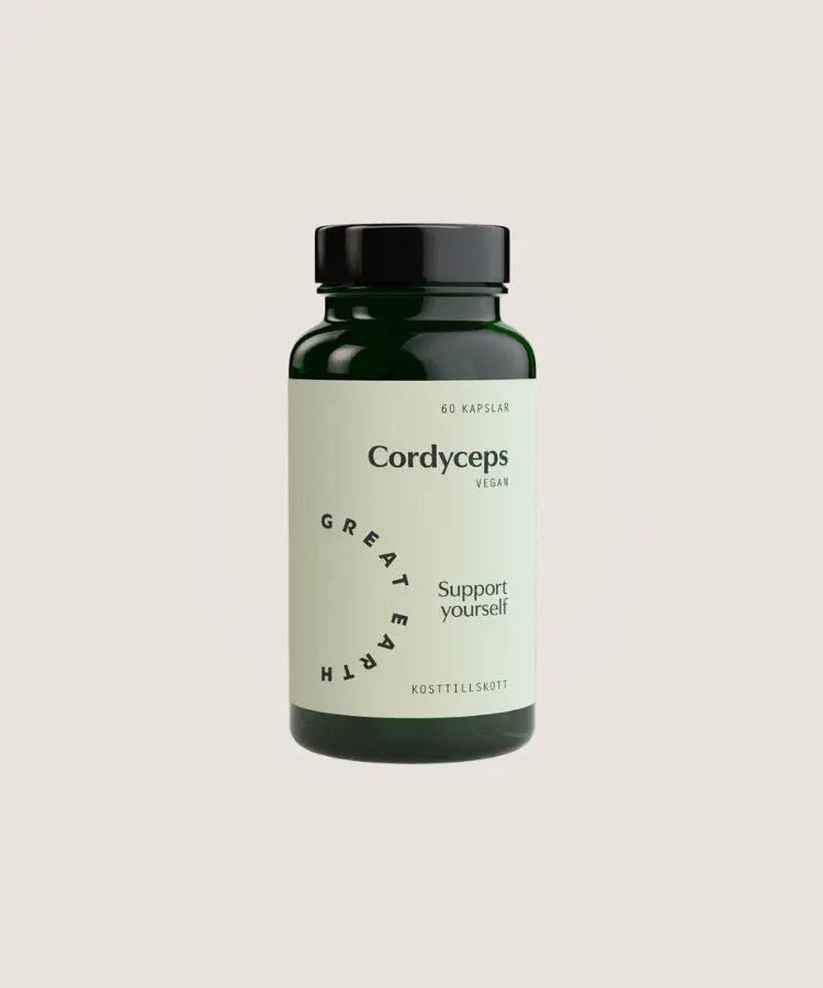 Cordyceps