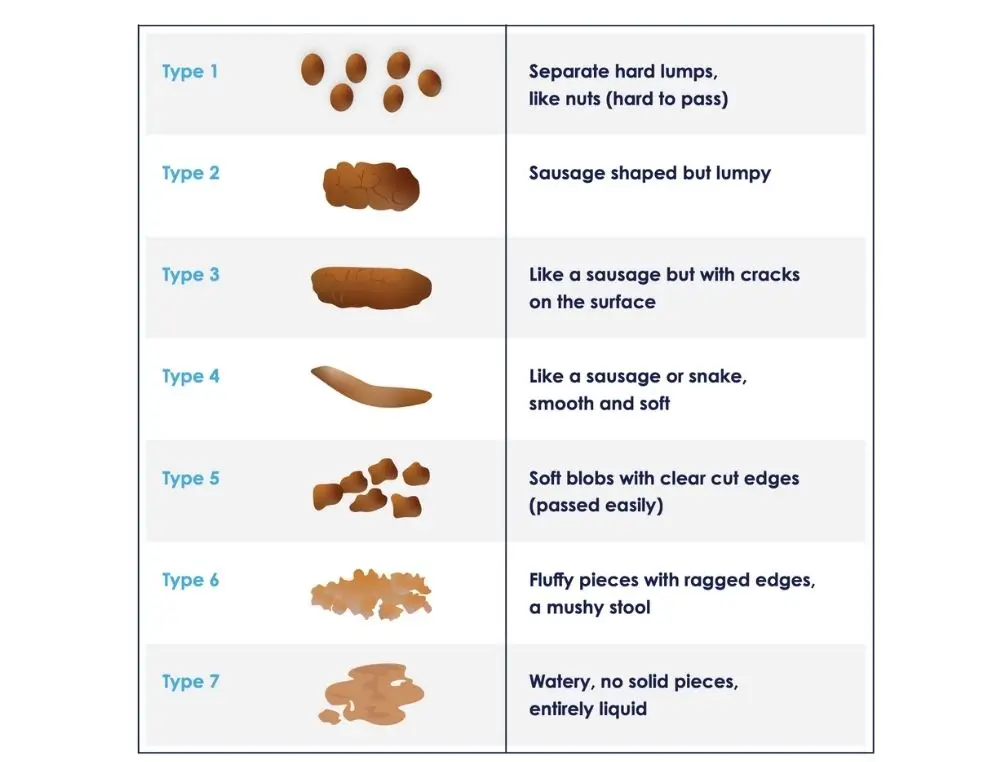 Stool chart