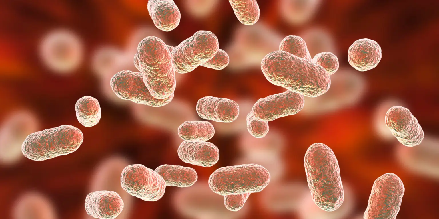 Framtidens tarmundersökning: Enkelt, effektivt och utan obehag tarmundersökning, microbiome